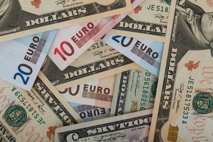 Avro/dollar üzrə 14 proqnoz