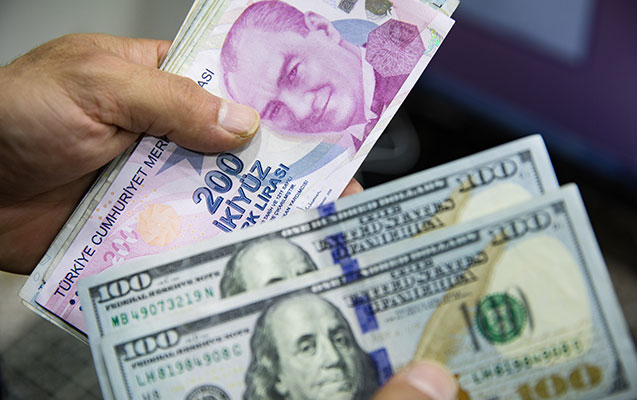 Lirənin ucuzlaşması Azərbaycana ixrac olunan türk məhsullarının qiymətinə necə təsir edəcək?