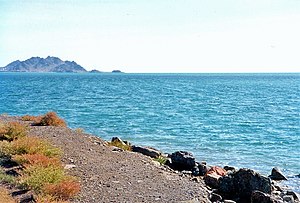 Xəzərin suyunun duzsuzlaşdırılması üzrə zavod yaradılacaq.